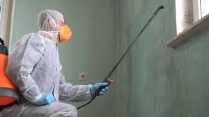 Best Mold Remediation for Rental Properties  in Wyndmoor, PA