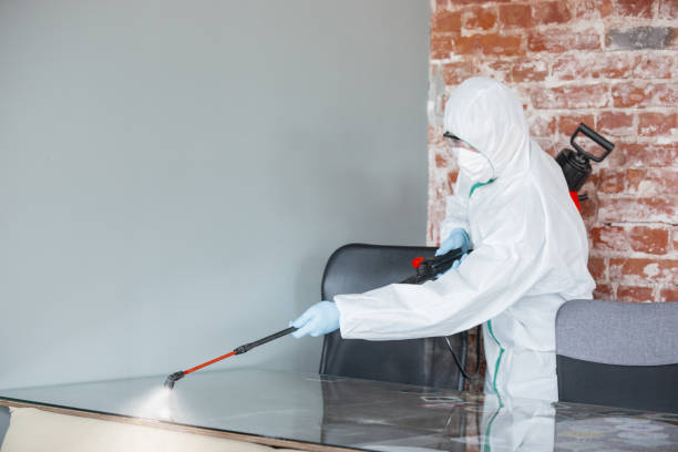 Best Biohazard Mold Removal  in Wyndmoor, PA