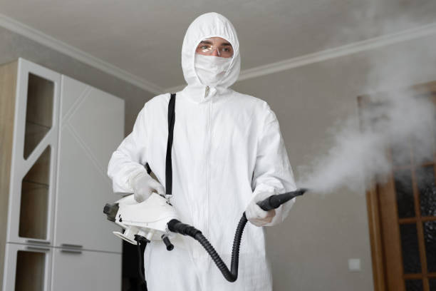 Best Mold Remediation for Healthcare Facilities  in Wyndmoor, PA